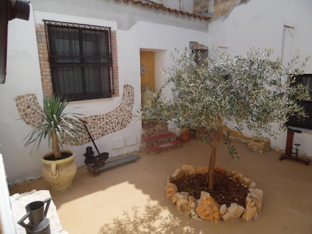 Casa Degli Ulivi 21 Castellammare del Golfo Exterior foto